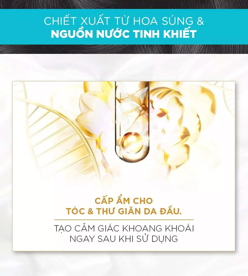 Share 156+ loreal hair spa shampoo review POPPY